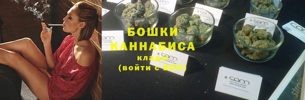 сатива Белокуриха