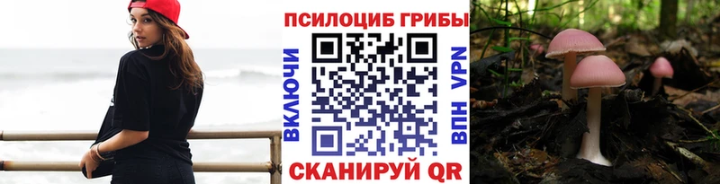 Псилоцибиновые грибы ЛСД  ОМГ ОМГ сайт  Печора  мориарти формула  цена наркотик 